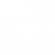 Niko Lasarte Logo